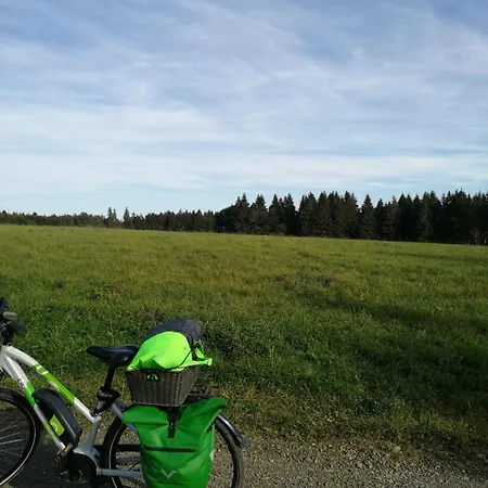 Hotel Leine Pattensen (Hanover)