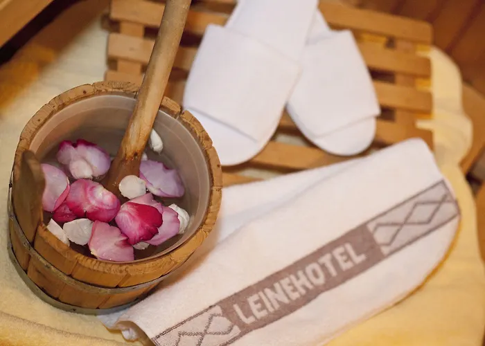 Hotel Leine